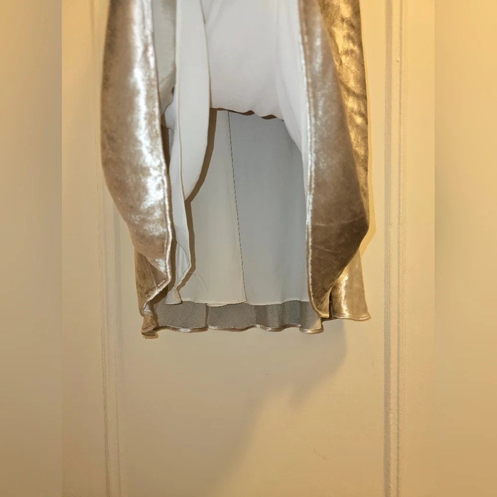 Polo Ralph Lauren Lush Velvet Flared Silver Midi Skirt | Sz 6 - Picture 10 of 16